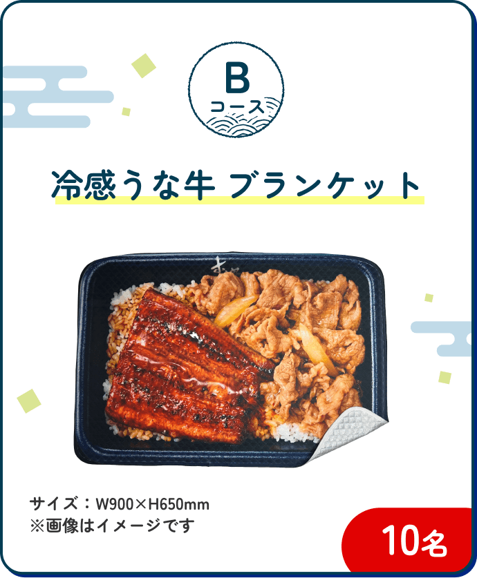 Bコース 冷感うな牛ブランケット 10名|サイズ:W900×H650mm